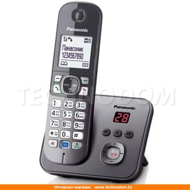 Телефон Dect Panasonic KX-TG6821CAM фото