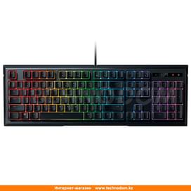 Клавиатура игровая проводная USB Razer Ornata Chroma, RZ03-02040700-R3R1 фото