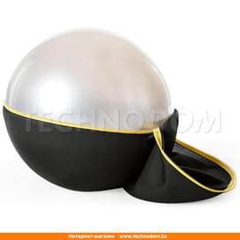 Мяч TECHNOGYM WELLNESS 55 см фото