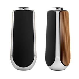 Аудиосистема Bang & Olufsen BeoLab 50 фото