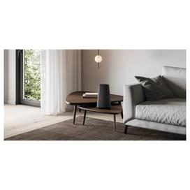 Акустическая система LOEWE Klang MR3, Multiroom Speaker 150W, Basalt Grey фото