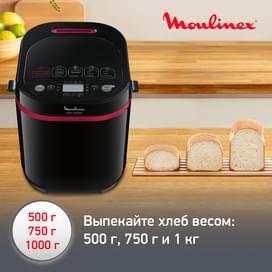 Хлебопечь Moulinex Pain & Plaisir OW-220830 фото