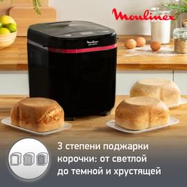 Хлебопечь Moulinex Pain & Plaisir OW-220830 фото