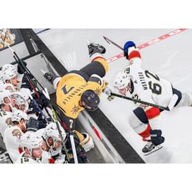 PS5 арналған NHL 24 (5030949125217) ойыны фото