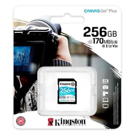Карта памяти SD Kingston Canvas Go! Plus 256GB Class 10 U3 SDG3/256GB фото