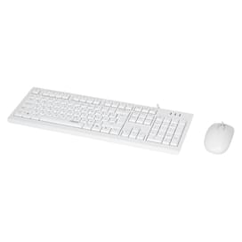 Клавиатура+Мышка проводные USB Rapoo X120PRO White фото