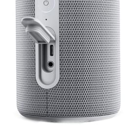 Колонка Bluetooth Loewe We. Hear 1, Cool Grey (60701S10) фото