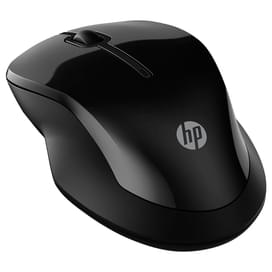 Mышка беспроводная USB/BT HP 250, Black (6V2J7AA) фото