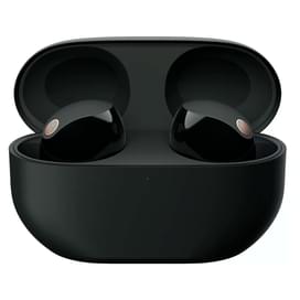 Наушники вставные Sony TWS Bluetooth WF-1000XM5B.E, Black фото