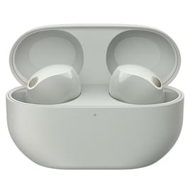 Наушники вставные Sony TWS Bluetooth WF-1000XM5S.E, Silver фото