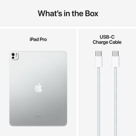 Планшет Apple iPad Pro 13 256Gb Wi-Fi + Cellular Silver (MVXT3QA/A) фото