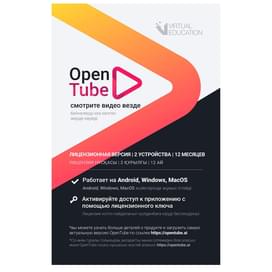 Подписка OpenTube на 12 месяца, 2 устройство фото