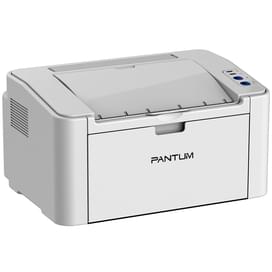 Принтер лазерный Pantum P2200 A4 White фото