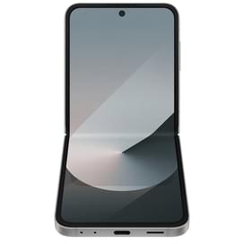 Смартфон Samsung Galaxy Z Flip 6 12/512GB Silver Shadow (SM-F741BZSHSKZ) фото