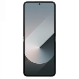 Смартфон Samsung Galaxy Z Flip 6 12/512GB Silver Shadow (SM-F741BZSHSKZ) фото