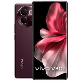 Смартфон Vivo V30e 8/256GB Classy Brown фото