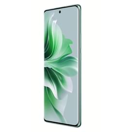 Смартфон Oppo Reno11 12/256GB Wave Green фото