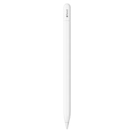 Стилус Apple Pencil (USB-C) для iPad Pro (MUWA3ZM/A) фото
