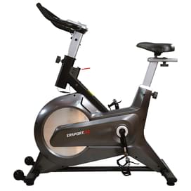 Велотренажер ERSPORT Spin Bike D9 v2.0 серый фото