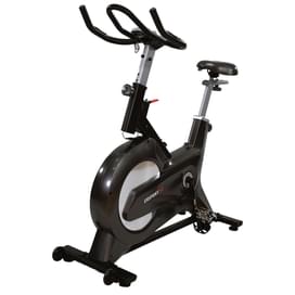 Велотренажер ERSPORT Spin Bike D9 v2.0 серый фото