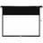 Deluxe Моторлы экраны, DLS-E274x210, қабырғаға/төбеге, 266х150 см., 16:9, Matt white - фото #0, Technodom.kz