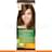 Крем-краска стойкая питательная Color Naturals 4.3 Золотистый каштан Garnier - фото #0, Technodom.kz