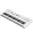 Синтезатор Yamaha EZ-300 - фото #2, Technodom.kz