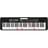 Синтезатор Casio LK-S250C7 - фото #0, Technodom.kz