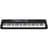 Синтезатор Casio CT-S500 BKC7 - фото #2, Technodom.kz