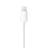 Наушники Apple EarPods with Lightning Connector - фото #4, Technodom.kz