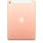 Планшет Apple iPad 2018 128GB WiFi + Cellular Gold (MRM22RK/A) - фото #1, Technodom.kz