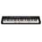 Синтезатор Casio LK-S450C7 - фото #1, Technodom.kz