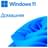 Microsoft Windows HOME 11 64-bit All Lng PK Lic Online DwnLd NR (ESD) - фото #1, Technodom.kz