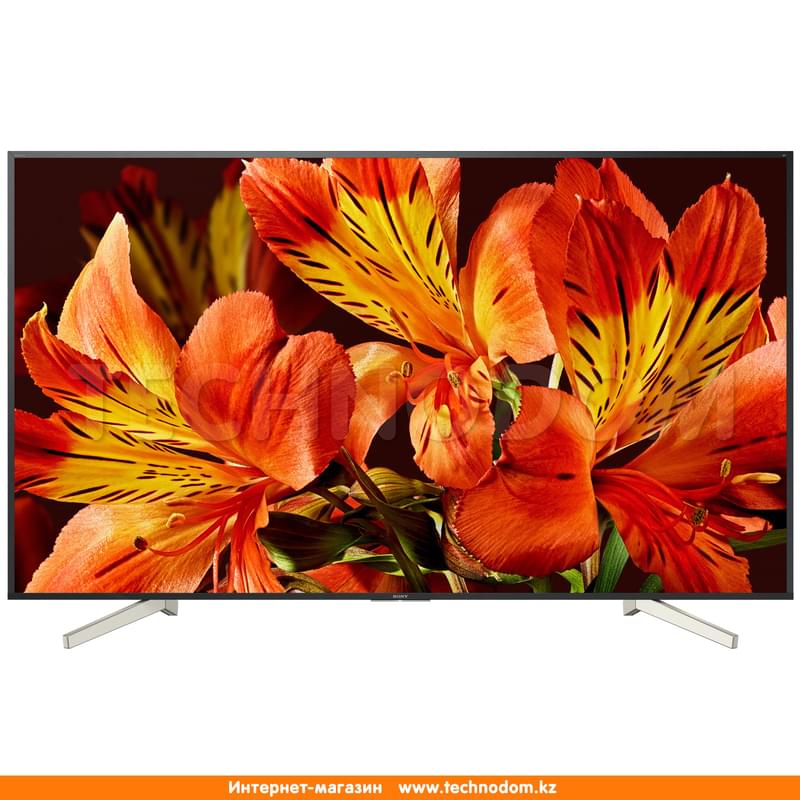 Телевизор 49" Sony KD49XF8596BR2 LED UHD Android Black (4K) - фото #0, Technodom.kz