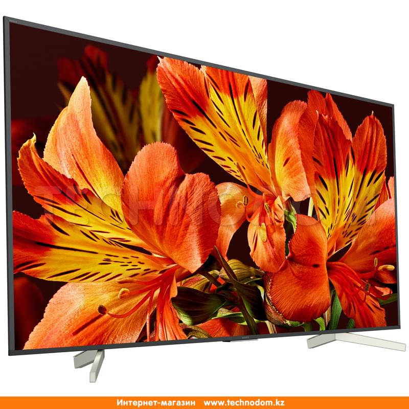 Телевизор 49" Sony KD49XF8596BR2 LED UHD Android Black (4K) - фото #2, Technodom.kz