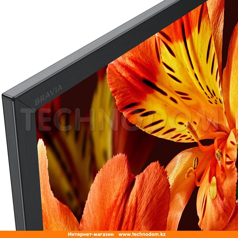 Телевизор 49" Sony KD49XF8596BR2 LED UHD Android Black (4K) - фото #6, Technodom.kz