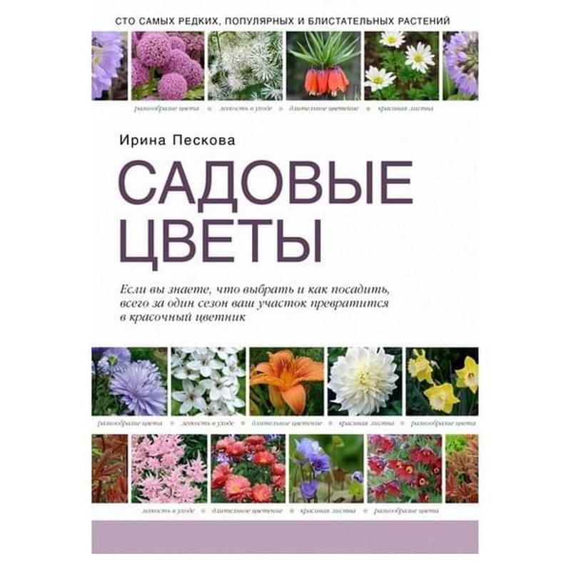 Садовые цветы - фото #0, Technodom.kz Садовые цветы - фото #0, Technodom.kz