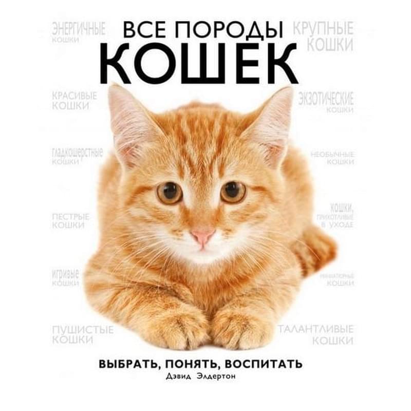 Все породы кошек - фото #2, Technodom.kz