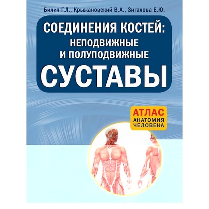 Соединения костей: неподвижные и полуподвижные суставы - фото #0, Technodom.kz