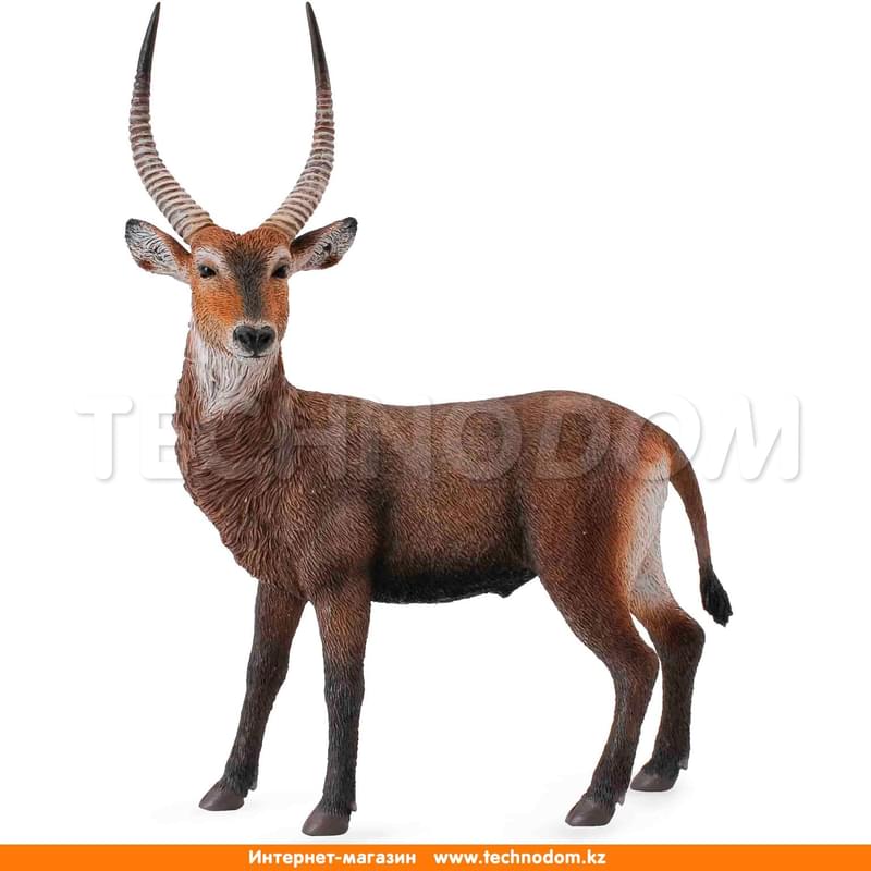 Водяной козёл, L - фото #0, Technodom.kz Водяной козёл, L - фото #0, Technodom.kz
