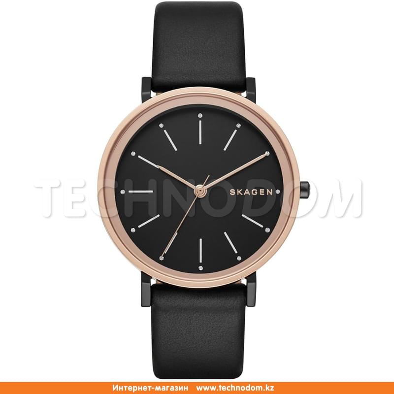 Наручные часы Skagen SKW2490 - фото #0, Technodom.kz
