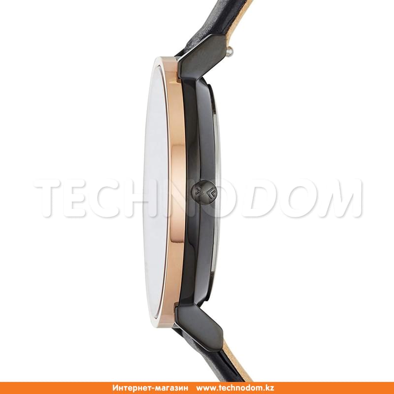 Наручные часы Skagen SKW2490 - фото #1, Technodom.kz