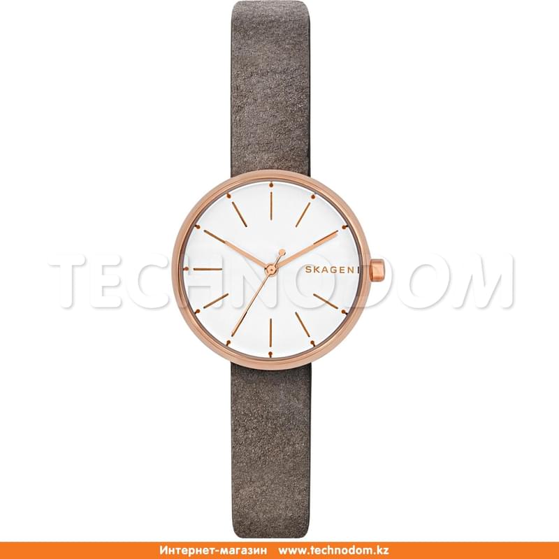 Наручные часы Skagen SKW2644 - фото #0, Technodom.kz