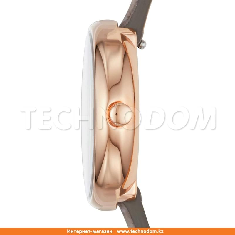 Наручные часы Skagen SKW2644 - фото #1, Technodom.kz