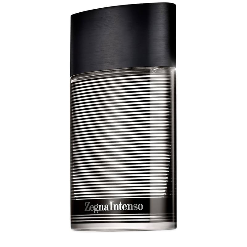 Туалетная вода Zegna Intenso Ermenegildo Zegna edt 100 мл - фото #1, Technodom.kz