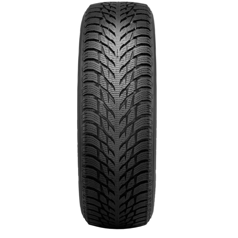 Зимние шины Nokian HAKKAPELIITTA R3 225/55R17 101R - фото #1, Technodom.kz