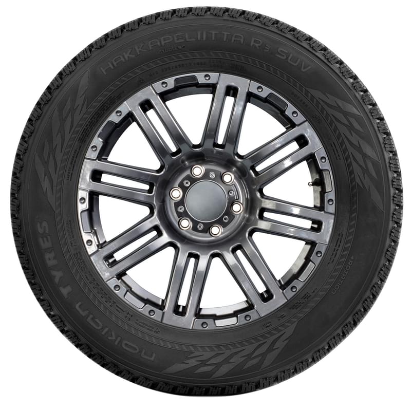 Зимние шины Nokian HAKKAPELIITTA R3 225/55R17 101R - фото #2, Technodom.kz
