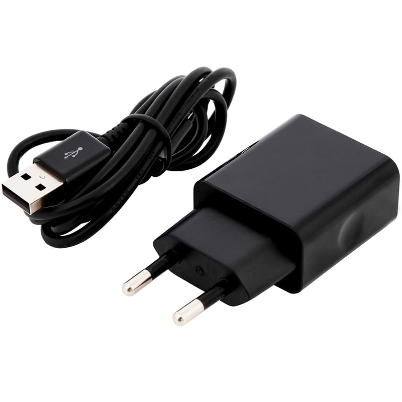 Сетевое зарядное устройство 2*USB, 2.4A + каб. MicroUSB, AVA, Черный (AV-CHT002M) - фото #0, Technodom.kz