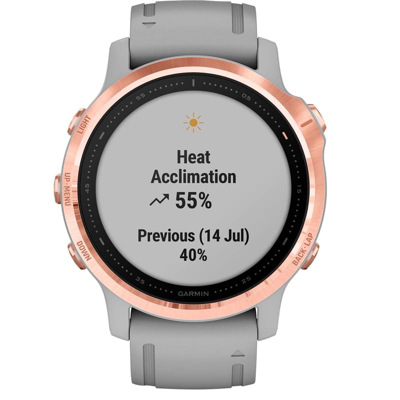 Garmin Fenix 6S Смарт сағаты Sapphire Rose Gold with Gray Band (010-02159-21) - фото #1, Technodom.kz