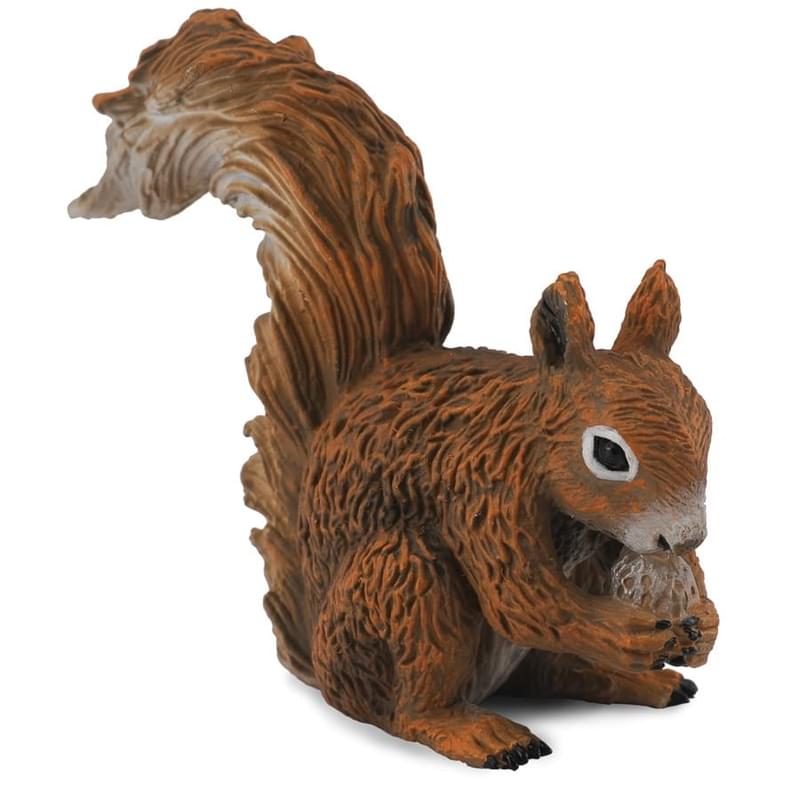 Красная белка, S - фото #0, Technodom.kz Красная белка, S - фото #0, Technodom.kz